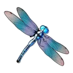 Dragonfly symbol in Big Bass Splash – pays up to 50x the bet