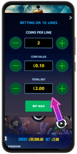 Set your bet per spin in Big Bass Splash – coins per line and coin value controls